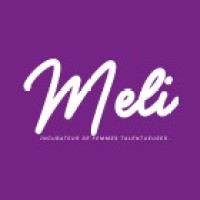 Women in tech - Meli Consulting logo - Similar company to Technibag