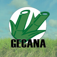 Gecana