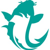 Fishhook.Online