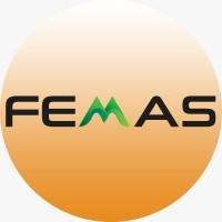 FEMAS Tech logo - Similar company to Rajeshwari Electronics