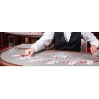 Satta King Online Result logo - Similar company to Mac Pay