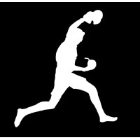 The Travel Runner