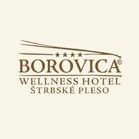 Wellness Hotel Borovica**** logo - Similar company to Hotel Bystrička***