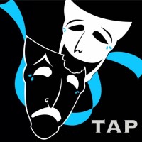The Artists Project Llc