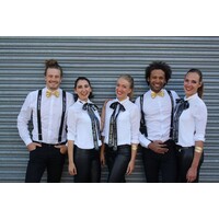 Holland Hosstess Service logo - Similar company to Vip Models