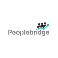 People Bridge logo - Similar company to Resumade -  European, Middle Eastern & African Countries
