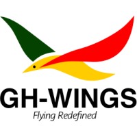 GH-Wings Airlines logo - Similar company to Gianair