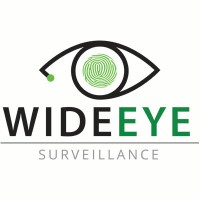 WideEye Surveillance logo - Similar company to S3 Security