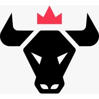 KING OF THE BULL GAMES logo - Similar company to Motion Bay