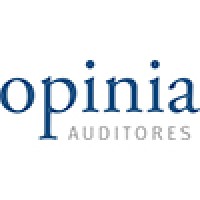 Opinia Auditores