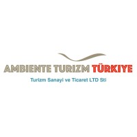 AMBIENTE TURIZM SANAYI VE TICARET LiMITED SiRKETi logo - Similar company to Ambiente Tours Gmbh