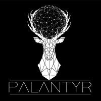 PALANTYR SAS logo - Similar company to Interface & Transmission
