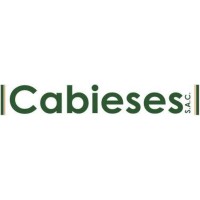 CABIESES SAC logo - Similar company to Electrodata Group