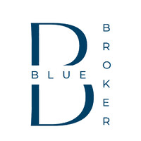BLUE BROKER logo - Similar company to Blue Advisors