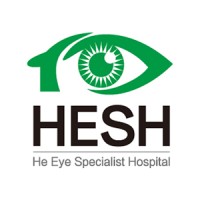 He Vision Group 何氏集团 logo - Similar company to Pablosec