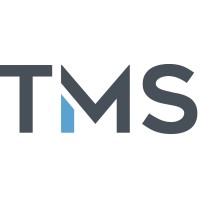 Technical & Management Services logo - Similar company to Beasley Group