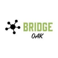 Bridge Oak logo - Similar company to Cgf Services