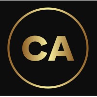 CPA Analytics logo - Similar company to Plug Cpa