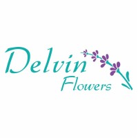 Delvin Flowers logo - Similar company to Kyansoftco | کیان نور رایانه