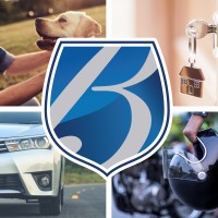 Brown's Insurance Agency, Inc logo - Similar company to Ab Insurance