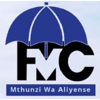 First MicroFinance Centre logo - Similar company to Dream Financial Services