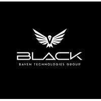 Black Raven Technologies Group LLC logo - Similar company to Data Defined, Llc