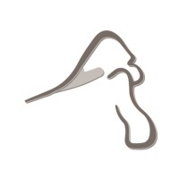Silverback Pvt Ltd logo - Similar company to Hoo Controls Inc.