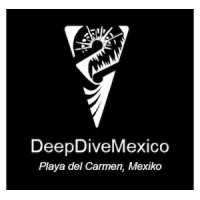 DeepDiveMexico logo - Similar company to Sikypark – Der Schweizer Tierrettungspark