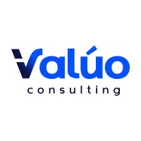 Valúo Consulting logo - Similar company to Valuo