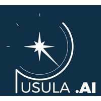 Pusula.ai logo - Similar company to Palamar Teknoloji A.Ş.