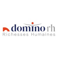 Domino Care Lyon - Paramédical & Petite Enfance logo - Similar company to Sonam Formations Continues Pour Les Profs De La Petite Enfance