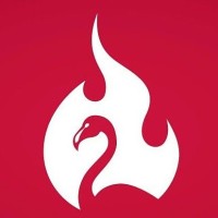 FLAMINGO CORPORATIONS SERVICES logo - Similar company to Bmcs Capital