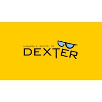 Dexter Solutions logo - Similar company to Dexter Web Tech Solutions