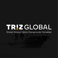 Triz Global logo - Similar company to Artbey Proje