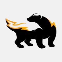 MoneyBadger logo - Similar company to Fireid