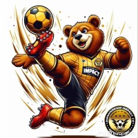 Birmingham Impact Football Club logo - Similar company to Feedo Needo