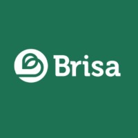 Brisa Serviços logo - Similar company to Halvor Energia