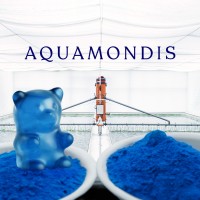 AQUAMONDIS Germany GmbH logo - Similar company to Study Association Caerus