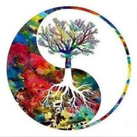 Dhyana - The Society For Consciousness And Awareness, Lady Shri Ram College For Women logo - Similar company to Hum Honge Kamyab