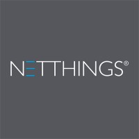 NetThings logo - Similar company to Netthink Technology Corporation
