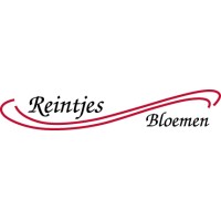 Reintjes Bloemen logo - Similar company to Fa. Van Den Ende Rozen
