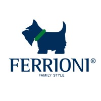 Ferrioni S.A. de C.V. logo - Similar company to Startalent Mx