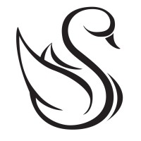 Black Swan Financial Consulting, Llc
