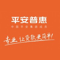 平安普惠企业管理有限公司 logo - Similar company to Future Verification Technology Inc.
