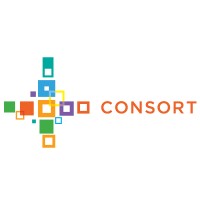 Consort Partners logo - Similar company to Seeds Social Emotional Education And Development Of Self