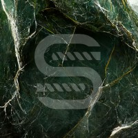 Serpentine Energy logo - Similar company to Avalio
