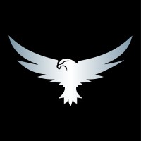 Goshawk Consulting, LLC logo - Similar company to Pulse Ai Solutions