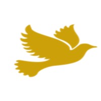 Wise Dove CGA logo - Similar company to Michigan Language Center
