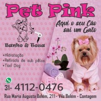 PET PINK - BANHO E TOSA logo - Similar company to Puro Afeto