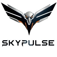 SkyPulse Team logo - Similar company to Skypulse